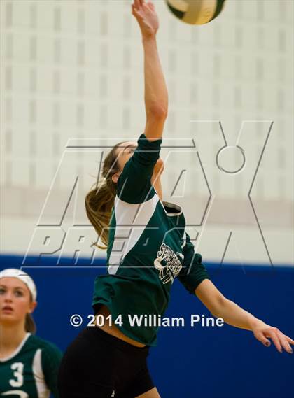 Thumbnail 2 in  Spackenkill vs. Millbrook (Section 9 Class C Final) photogallery.