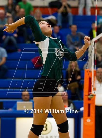 Thumbnail 1 in  Spackenkill vs. Millbrook (Section 9 Class C Final) photogallery.