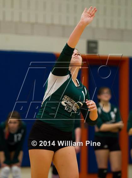 Thumbnail 3 in  Spackenkill vs. Millbrook (Section 9 Class C Final) photogallery.