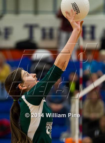 Thumbnail 3 in  Spackenkill vs. Millbrook (Section 9 Class C Final) photogallery.
