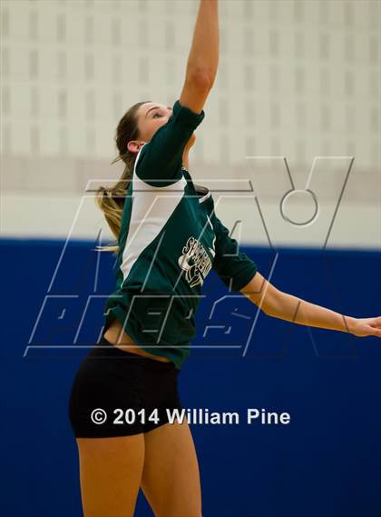 Thumbnail 1 in  Spackenkill vs. Millbrook (Section 9 Class C Final) photogallery.