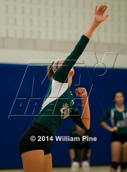 Thumbnail 2 in  Spackenkill vs. Millbrook (Section 9 Class C Final) photogallery.