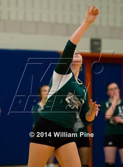Thumbnail 3 in  Spackenkill vs. Millbrook (Section 9 Class C Final) photogallery.