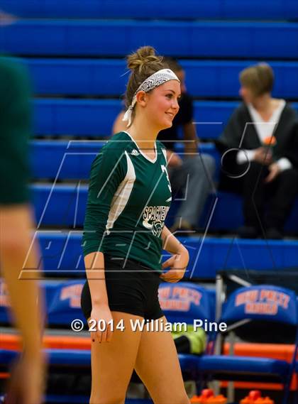 Thumbnail 3 in  Spackenkill vs. Millbrook (Section 9 Class C Final) photogallery.