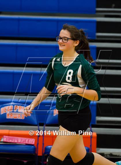 Thumbnail 2 in  Spackenkill vs. Millbrook (Section 9 Class C Final) photogallery.