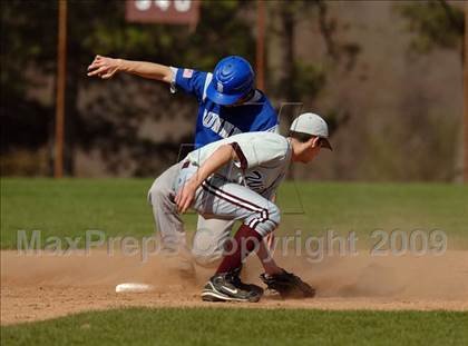 Thumbnail 1 in Bunnell @ Bethel photogallery.