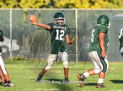 Thumbnail 2 in Chico @ Sonoma Valley photogallery.