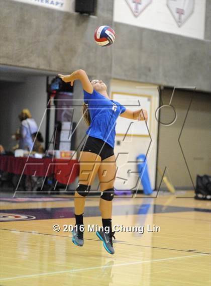 Thumbnail 2 in El Toro @ Tesoro photogallery.