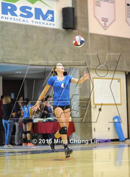 Thumbnail 1 in El Toro @ Tesoro photogallery.