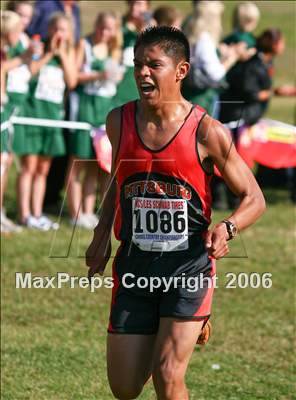 Thumbnail 2 in NCS Cross Country Championships (D1 Boys) photogallery.