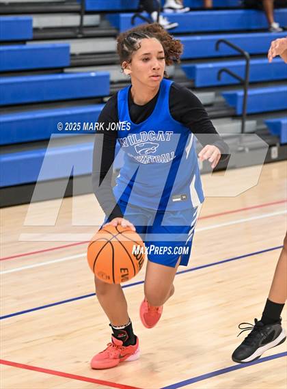 Thumbnail 3 in Mesquite vs. Mohave Accelerated (Section 7) photogallery.