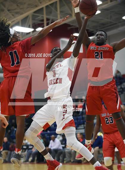 Thumbnail 3 in Hazel Green @ Bob Jones photogallery.