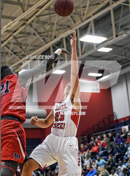Thumbnail 3 in Hazel Green @ Bob Jones photogallery.