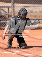 Photo from the gallery "Palo Verde @ Highland Prep"