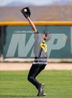 Photo from the gallery "Palo Verde @ Highland Prep"
