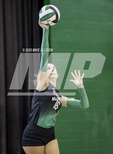 null - Photo 01