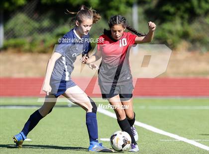 Thumbnail 2 in Yelm @ Olympia photogallery.
