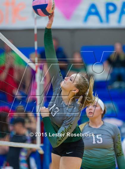 Thumbnail 3 in Marion @ Bandera photogallery.