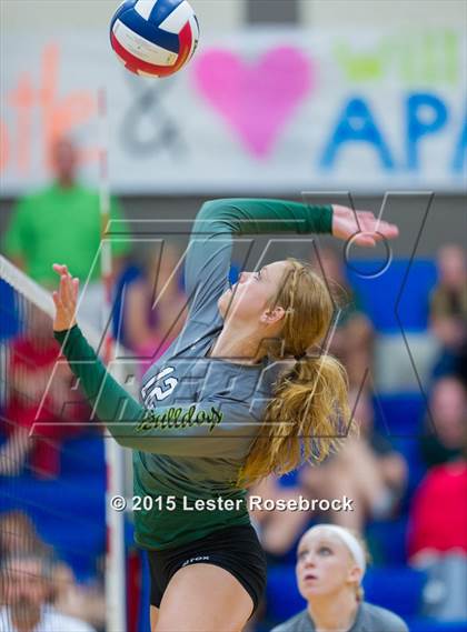 Thumbnail 1 in Marion @ Bandera photogallery.