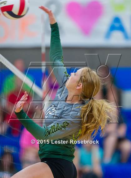 Thumbnail 2 in Marion @ Bandera photogallery.