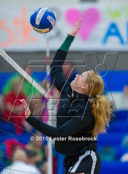 Thumbnail 1 in Marion @ Bandera photogallery.
