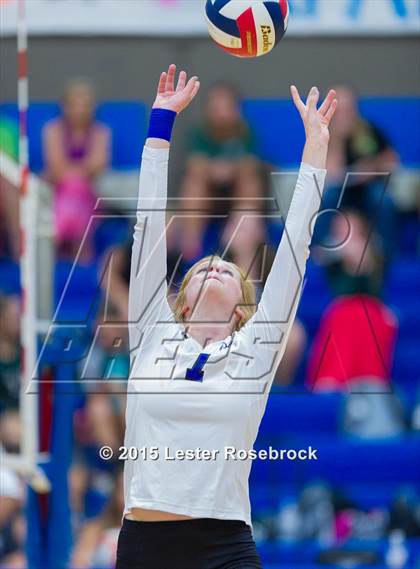 Thumbnail 2 in Marion @ Bandera photogallery.