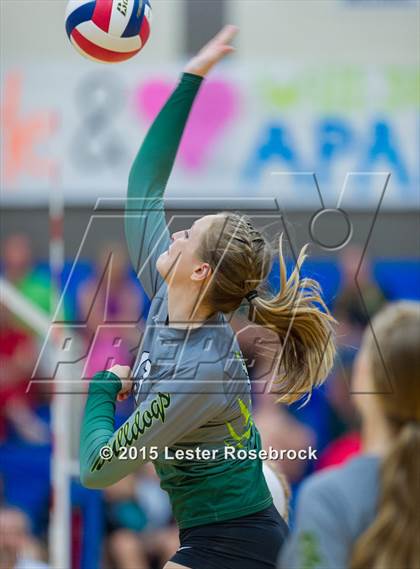 Thumbnail 1 in Marion @ Bandera photogallery.