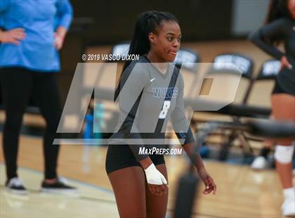 Thumbnail 1 in Estrella vs Gila Ridge photogallery.