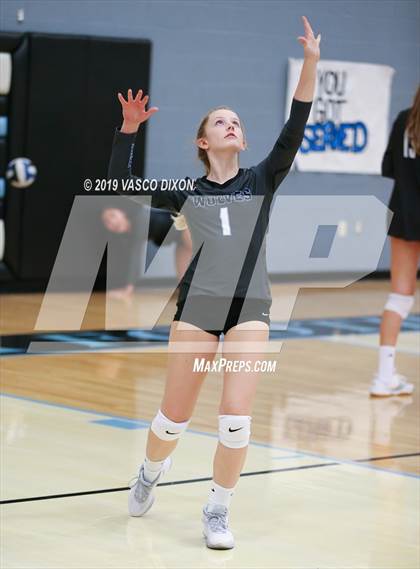 Thumbnail 2 in Estrella vs Gila Ridge photogallery.