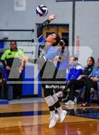 Photo from the gallery "Pioneer @ Vela"