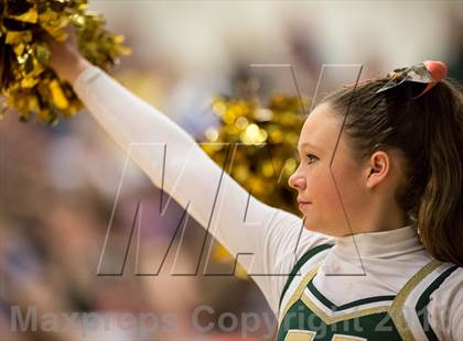 Thumbnail 3 in Loudoun Valley vs Potomac Falls (Dulles District Final) photogallery.