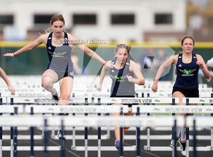 Thumbnail 3 in Borah @ Mountain View photogallery.
