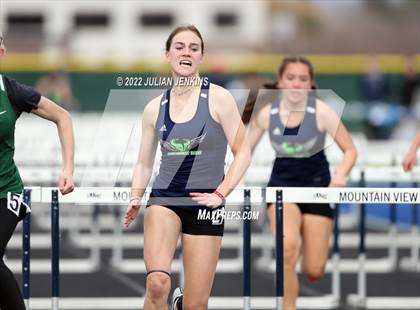 Thumbnail 3 in Borah @ Mountain View photogallery.