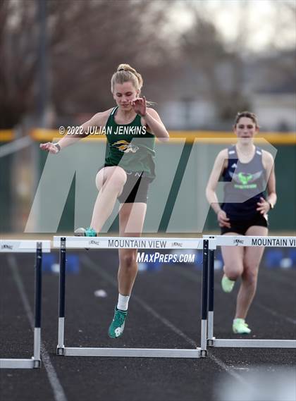 Thumbnail 1 in Borah @ Mountain View photogallery.