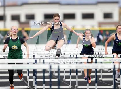 Thumbnail 2 in Borah @ Mountain View photogallery.