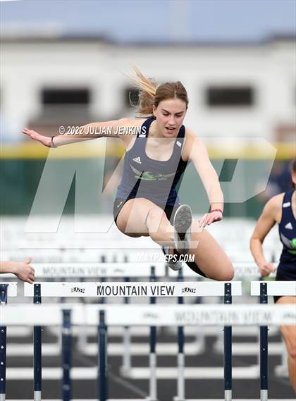 Thumbnail 2 in Borah @ Mountain View photogallery.