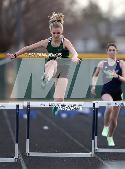 Thumbnail 2 in Borah @ Mountain View photogallery.