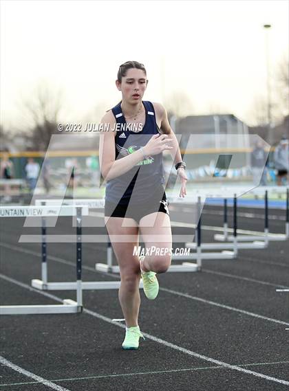 Thumbnail 2 in Borah @ Mountain View photogallery.