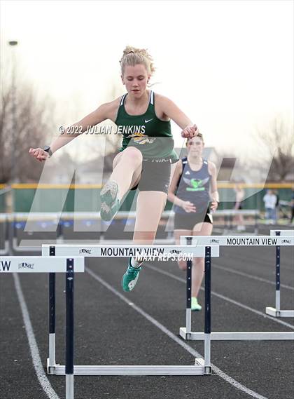 Thumbnail 3 in Borah @ Mountain View photogallery.