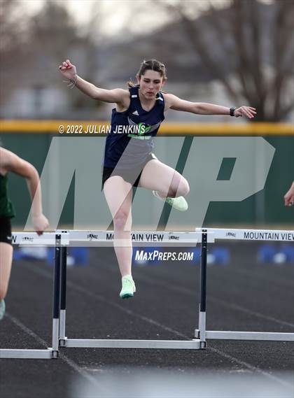 Thumbnail 3 in Borah @ Mountain View photogallery.