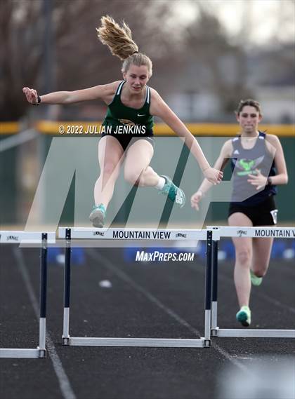 Thumbnail 1 in Borah @ Mountain View photogallery.