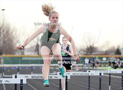 Thumbnail 2 in Borah @ Mountain View photogallery.