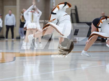 Thumbnail 3 in Box Elder @ West Field photogallery.