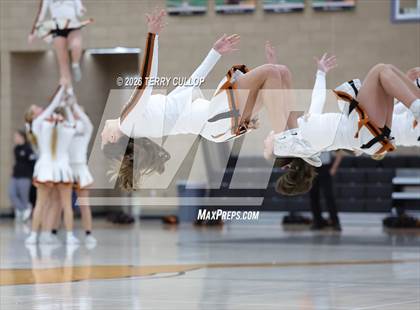 Thumbnail 1 in Box Elder @ West Field photogallery.