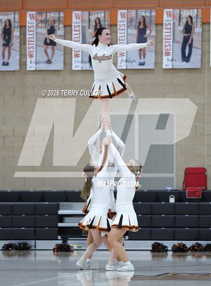 Thumbnail 3 in Box Elder @ West Field photogallery.