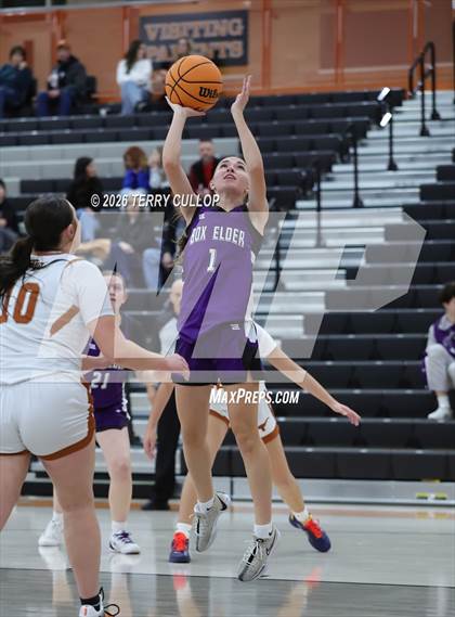 Thumbnail 2 in Box Elder @ West Field photogallery.