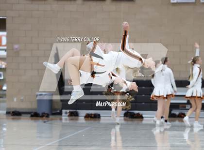 Thumbnail 1 in Box Elder @ West Field photogallery.