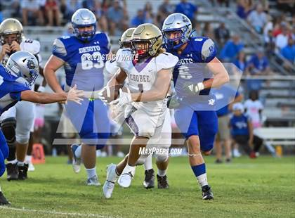 Thumbnail 2 in Okeechobee @ DeSoto County photogallery.