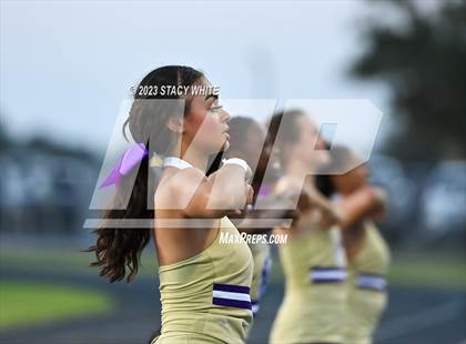 Thumbnail 3 in Okeechobee @ DeSoto County photogallery.