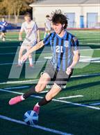 Photo from the gallery "University @ Acalanes"